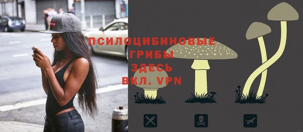 первитин Арсеньев