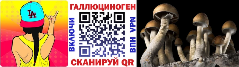 Галлюциногенные грибы прущие грибы Нея